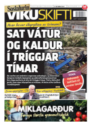 Síða 1