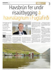 Síða 3