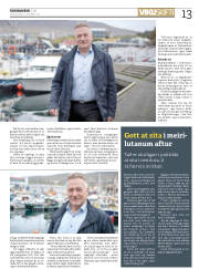 Síða 13