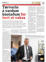 Síða 15