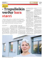 Síða 17