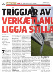 Síða 20
