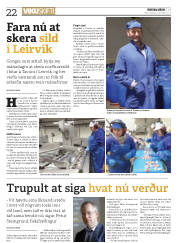 Síða 22