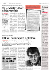 Síða 8