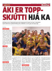 Síða 13