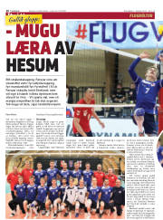 Síða 16