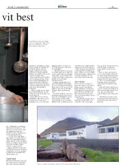 Síða 29