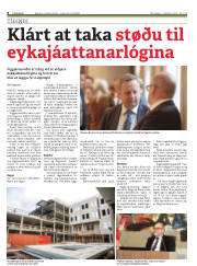Síða 8