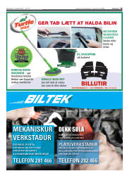 Síða 19