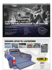 Síða 21