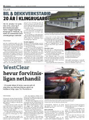 Síða 26