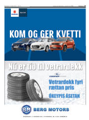 Síða 29