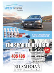Síða 33