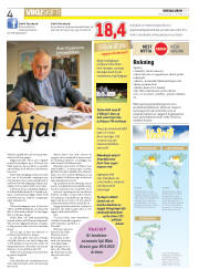 Síða 4