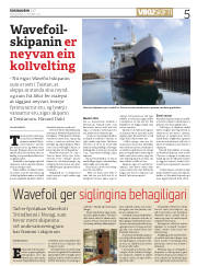 Síða 5