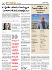 Síða 20