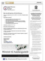 Síða 22