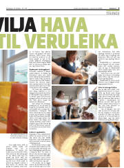Síða 5