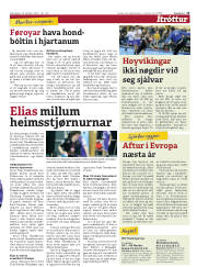 Síða 15