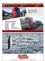 Síða 17