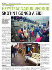 Síða 18