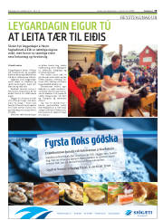 Síða 19