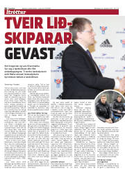 Síða 30