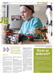 Síða 7