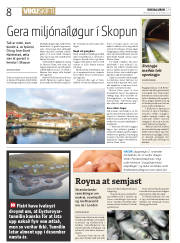 Síða 8