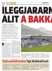 Síða 10