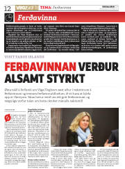 Síða 12