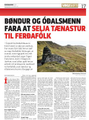 Síða 17