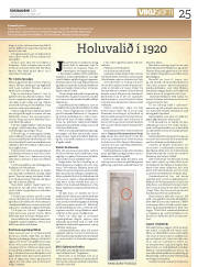 Síða 25