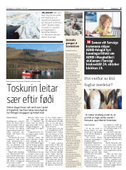 Síða 9