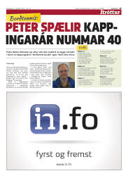Síða 15