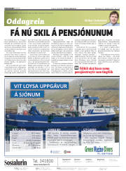 Síða 2