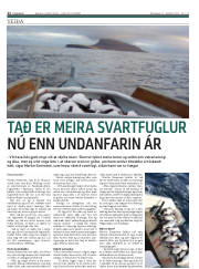 Síða 12