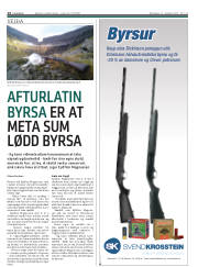 Síða 14