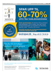 Síða 19