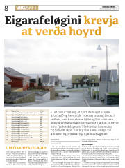 Síða 8