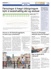 Síða 13
