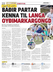 Síða 22