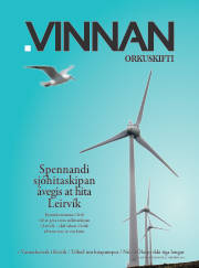 Síða 25