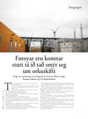 Síða 29