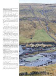 Síða 31