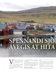 Síða 38