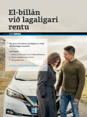 Síða 45