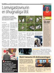 Síða 6