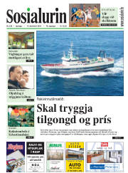 Síða 1
