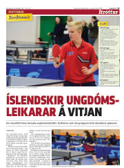 Síða 13